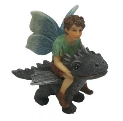 Fairy Draco with Dragon